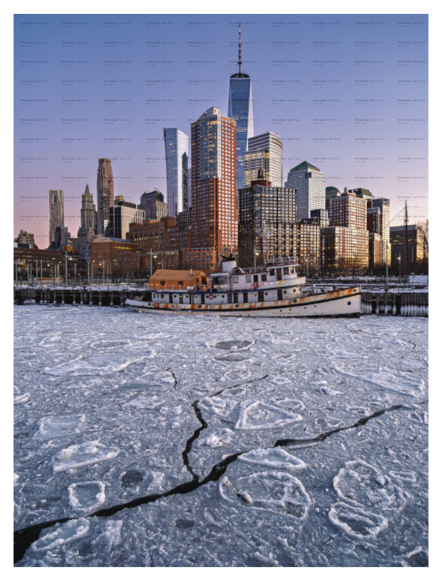 Main image Frozen Hudson NYC