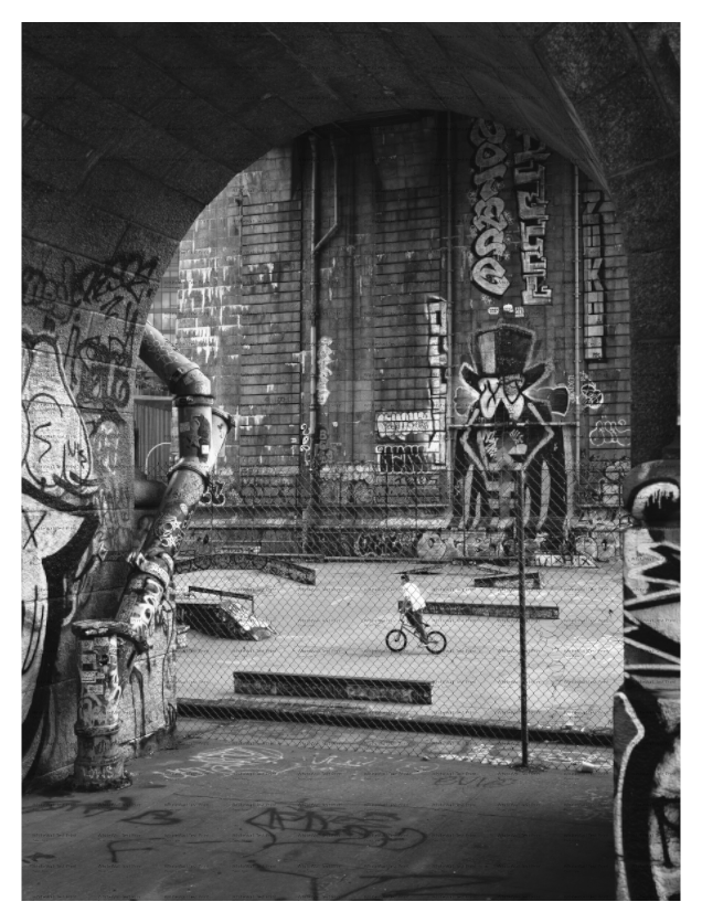 Main image Coleman Park NYC